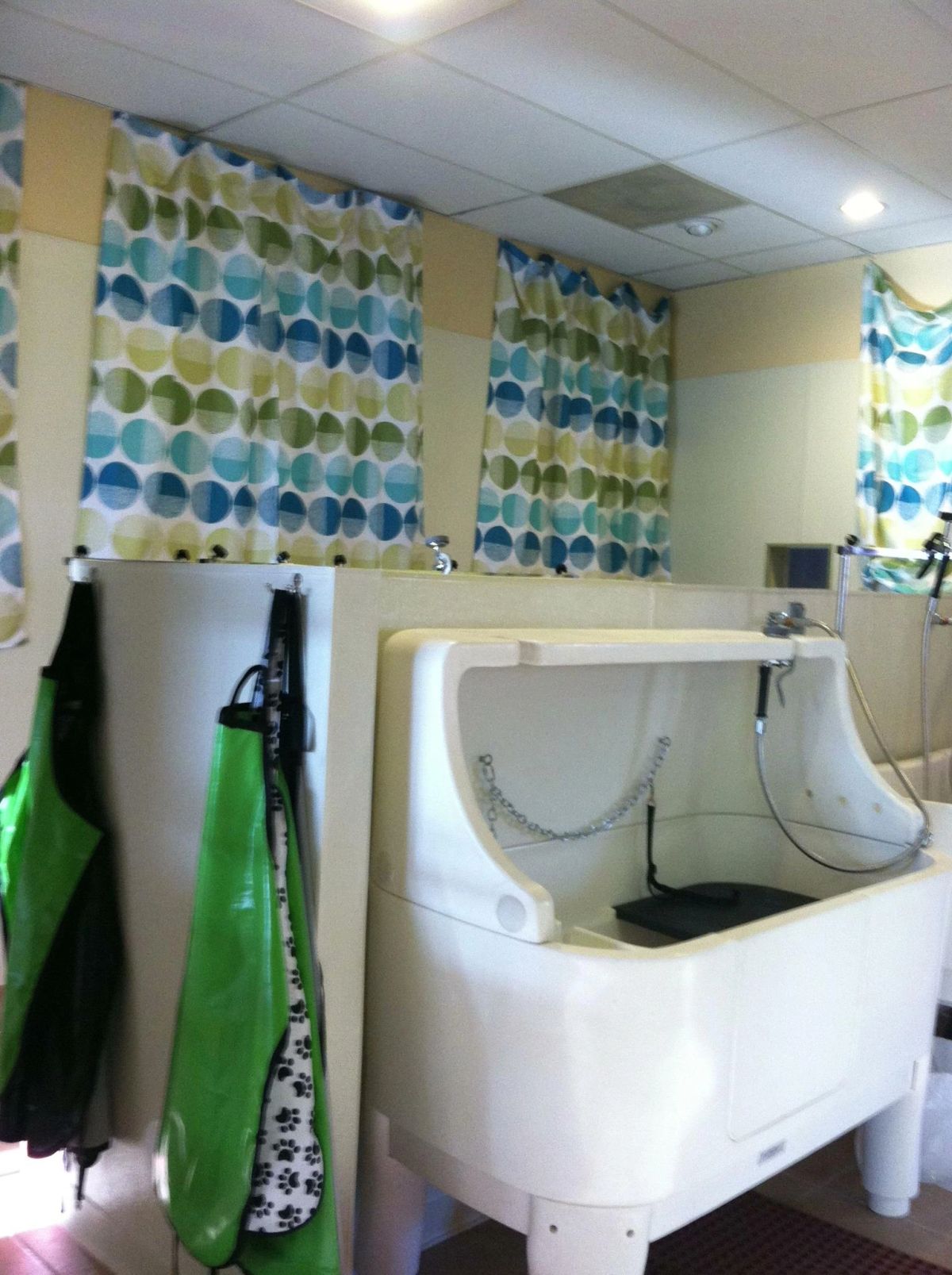 Self-service dog wash tubs