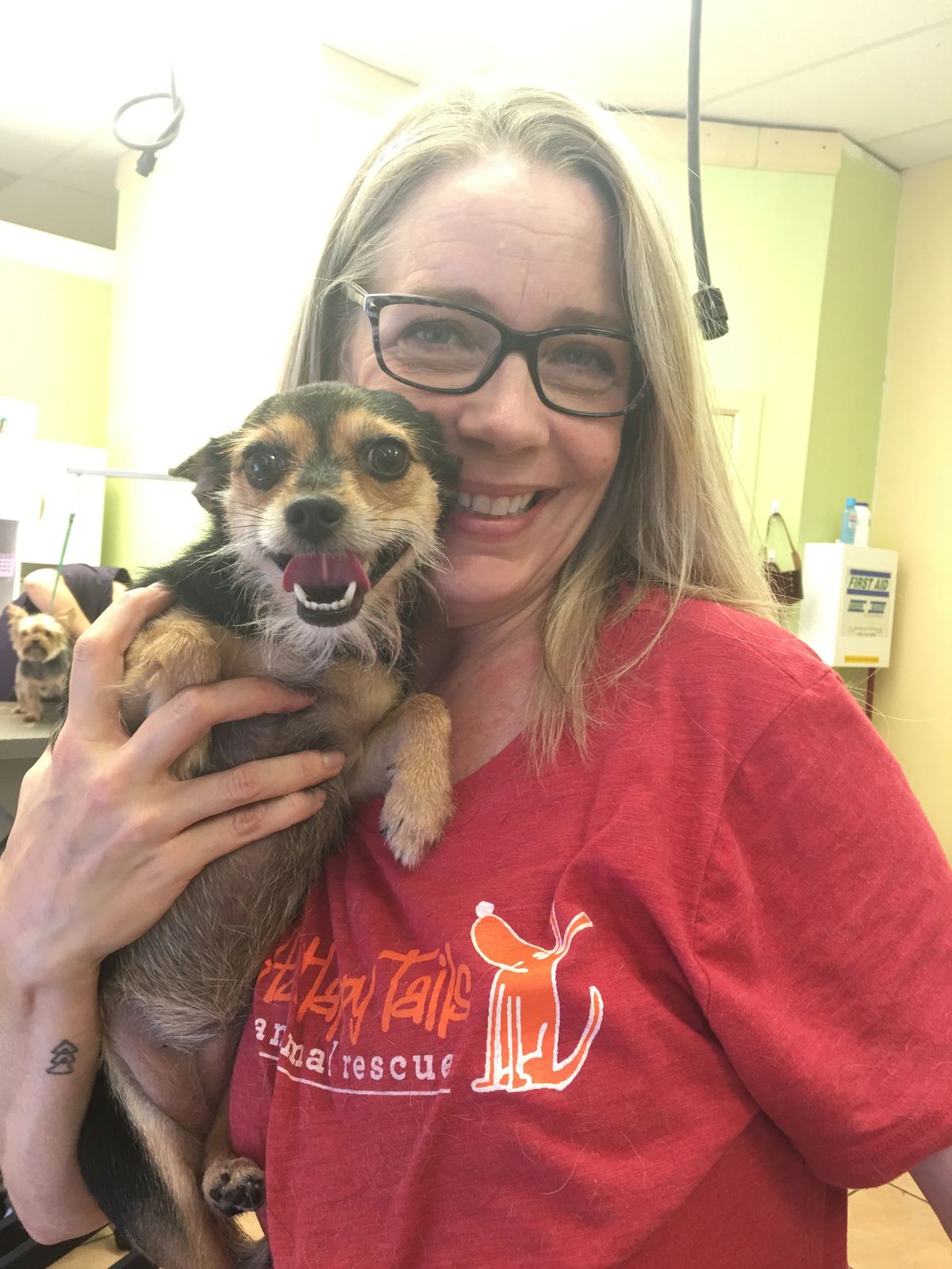 A happy Green Bulldog grooming client