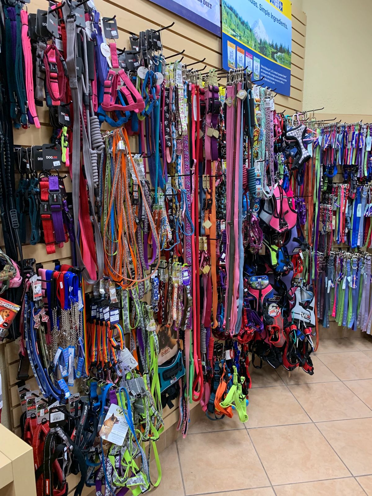 Leashes and collars in the Green Bulldog store