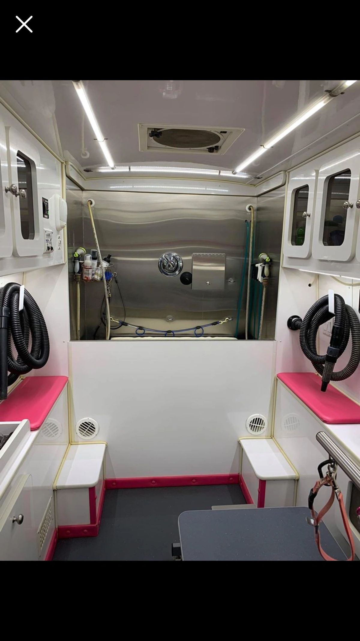 Inside a Green Bulldog mobile grooming spa