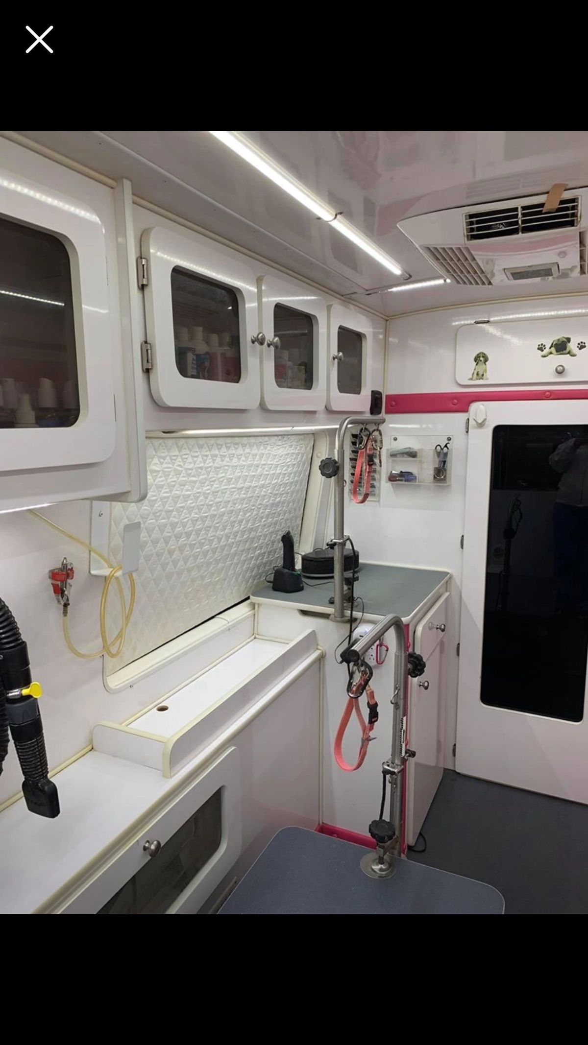 Clean interior of a Green Bulldog mobile grooming spa