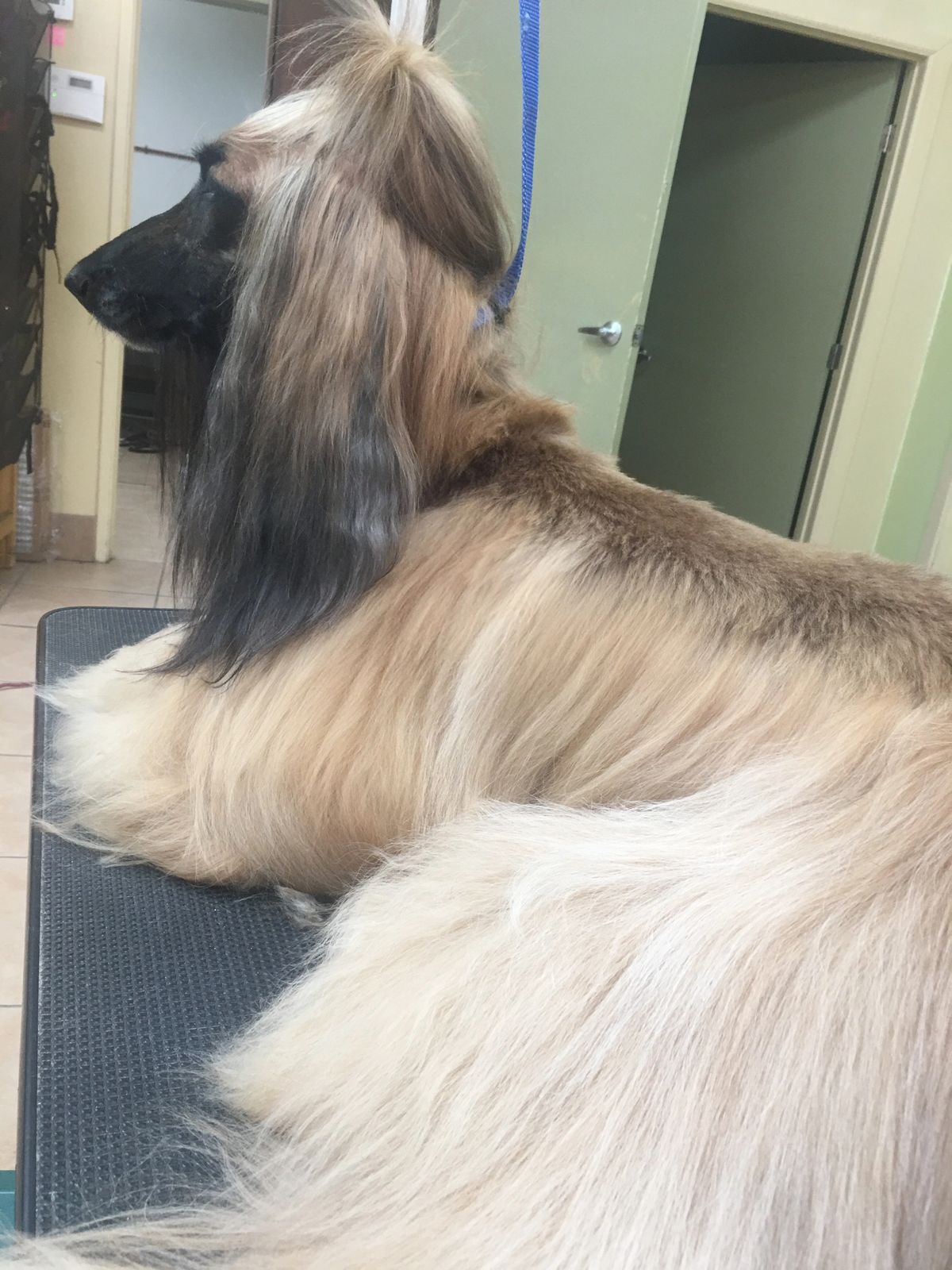 Relaxing after a groom